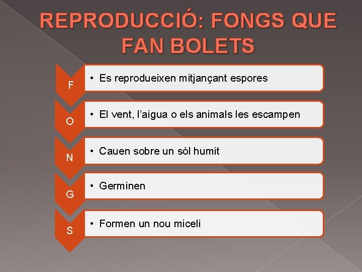 REPRODUCCIÓ: FONGS QUE FAN BOLETS F O N G S • Es reprodueixen mitjançant