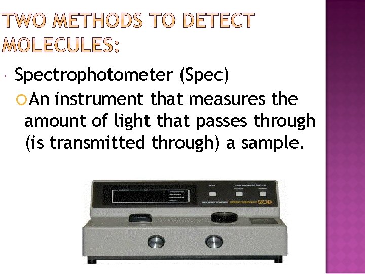 Spectrophotometer (Spec) An instrument that measures the amount of light that passes through Spectrophotometer (Spec) An instrument that measures the amount of light that passes through