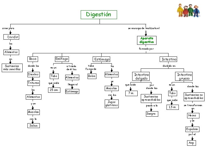 Digestión sirve para se encarga de realizarla el Dividir Aparato digestivo los formado por Digestión sirve para se encarga de realizarla el Dividir Aparato digestivo los formado por