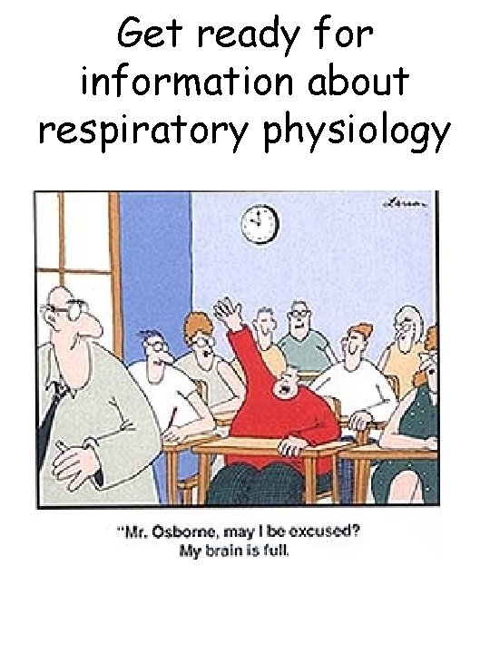 Get ready for information about respiratory physiology 