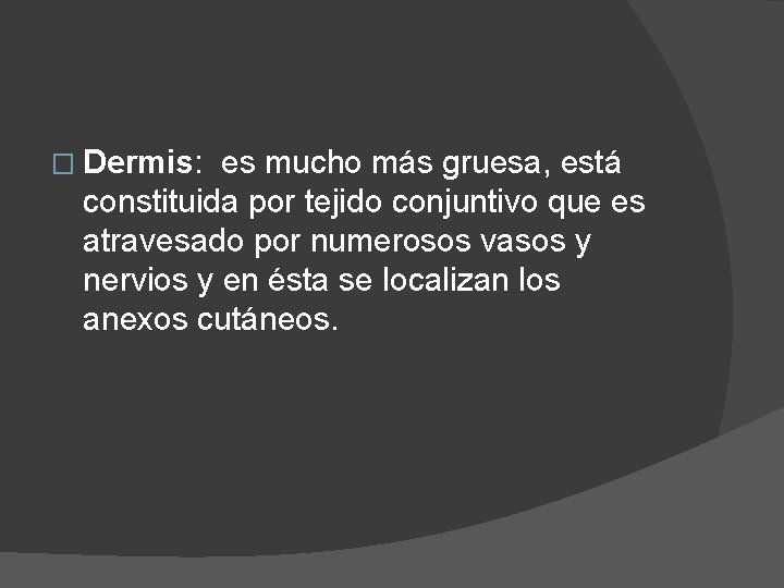 � Dermis: es mucho más gruesa, está constituida por tejido conjuntivo que es atravesado