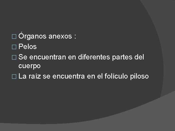 � Órganos anexos : � Pelos � Se encuentran en diferentes partes del cuerpo � Órganos anexos : � Pelos � Se encuentran en diferentes partes del cuerpo