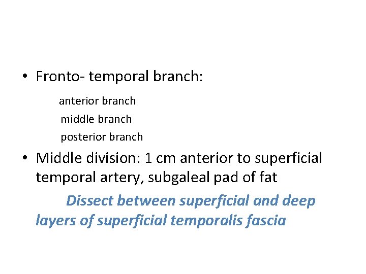  • Fronto- temporal branch: anterior branch middle branch posterior branch • Middle division: