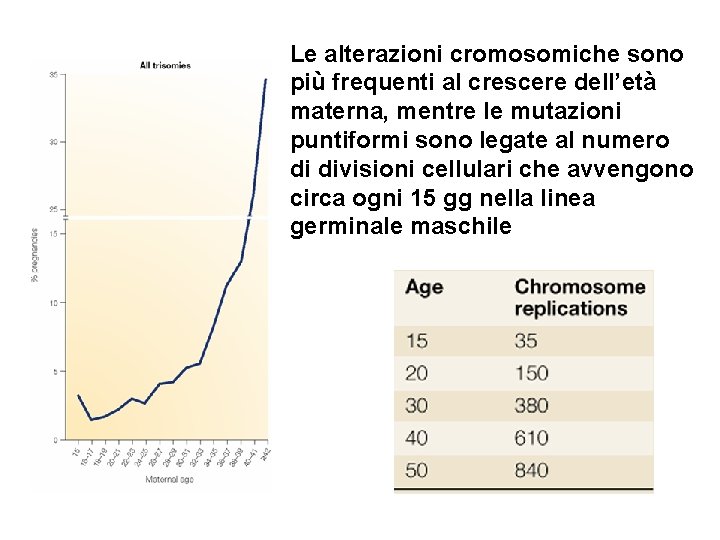 Le alterazioni cromosomiche sono più frequenti al crescere dell’età materna, mentre le mutazioni puntiformi Le alterazioni cromosomiche sono più frequenti al crescere dell’età materna, mentre le mutazioni puntiformi