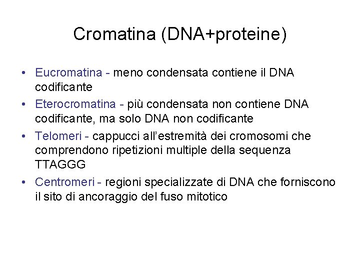 Cromatina (DNA+proteine) • Eucromatina - meno condensata contiene il DNA codificante • Eterocromatina - Cromatina (DNA+proteine) • Eucromatina - meno condensata contiene il DNA codificante • Eterocromatina -
