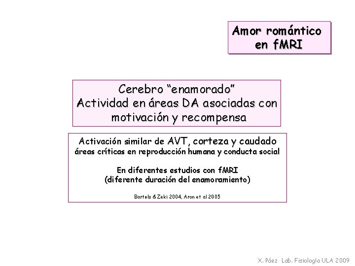 Amor romántico en f. MRI Cerebro “enamorado” Actividad en áreas DA asociadas con motivación
