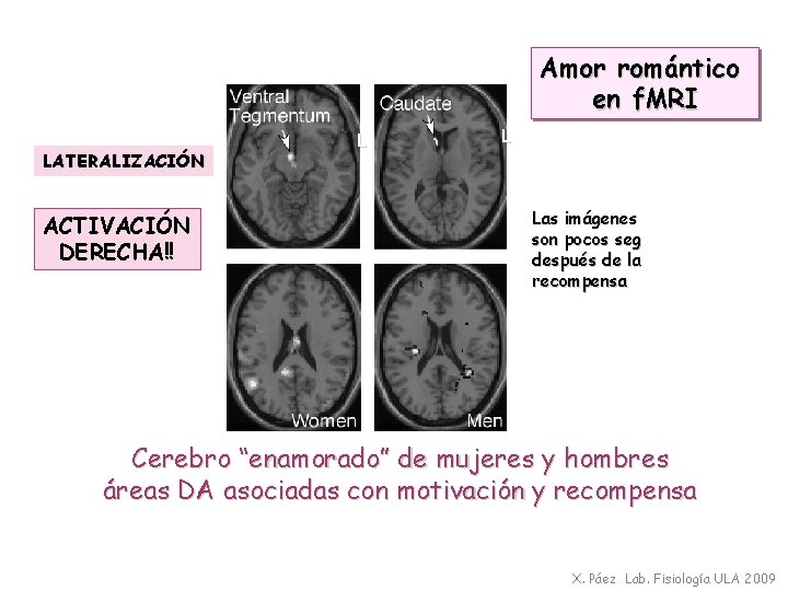 Amor romántico en f. MRI LATERALIZACIÓN ACTIVACIÓN DERECHA!! L L Las imágenes son pocos