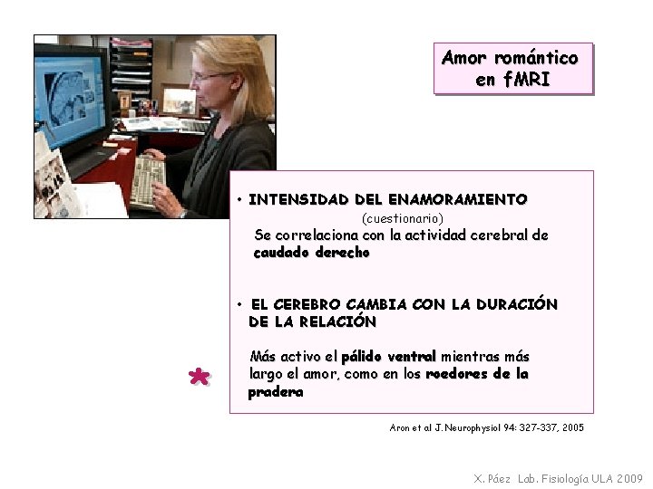 Amor romántico en f. MRI • INTENSIDAD DEL ENAMORAMIENTO (cuestionario) Se correlaciona con la