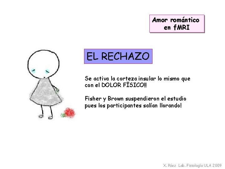Amor romántico en f. MRI EL RECHAZO Se activa la corteza insular lo mismo