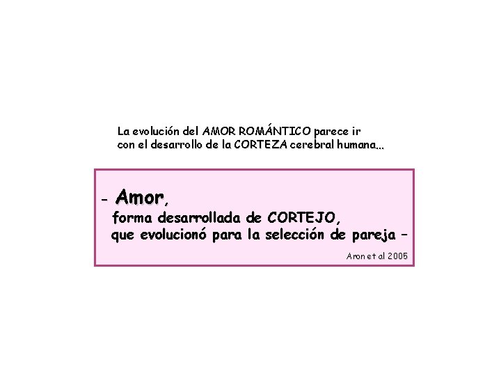 La evolución del AMOR ROMÁNTICO parece ir con el desarrollo de la CORTEZA cerebral