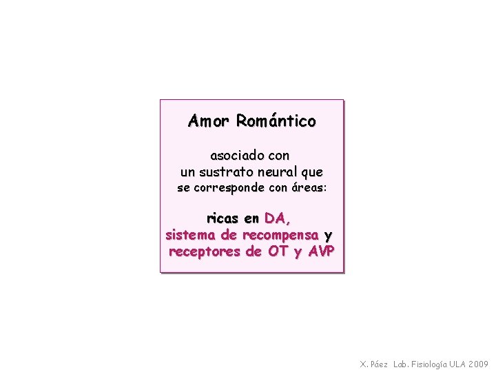 Amor Romántico asociado con un sustrato neural que se corresponde con áreas: ricas en