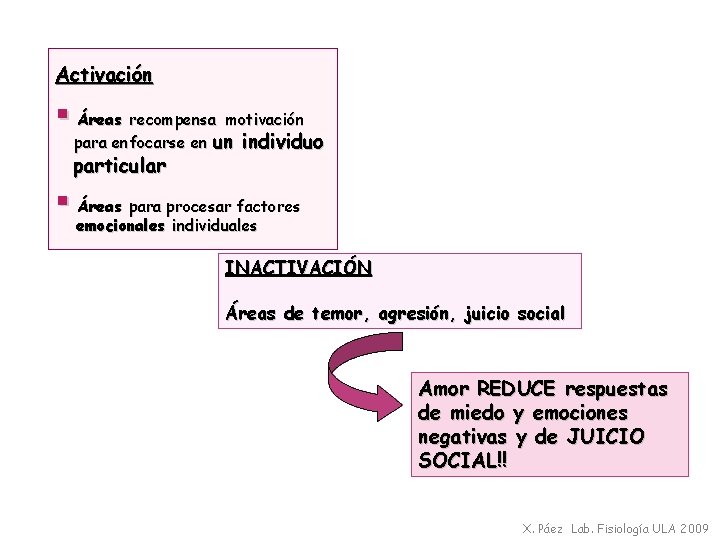 Activación § Áreas recompensa motivación para enfocarse en un particular individuo § Áreas para