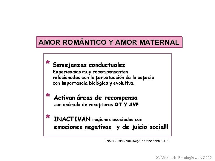 AMOR ROMÁNTICO Y AMOR MATERNAL * Semejanzas conductuales Experiencias muy recompensantes relacionadas con la