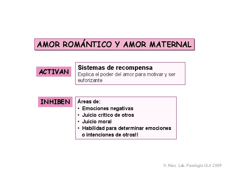 AMOR ROMÁNTICO Y AMOR MATERNAL ACTIVAN INHIBEN Sistemas de recompensa Explica el poder del