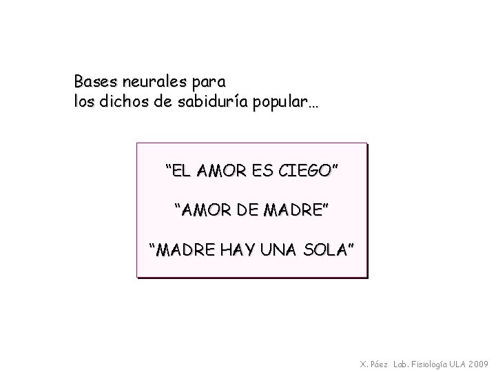 Bases neurales para los dichos de sabiduría popular… “EL AMOR ES CIEGO” “AMOR DE
