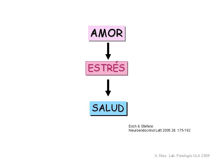 AMOR ESTRÉS SALUD Esch & Stefano Neuroendocrinol Lett 2005 26: 175 -192 X. Páez
