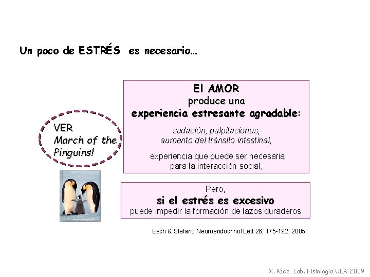 Un poco de ESTRÉS es necesario… El AMOR produce una experiencia estresante agradable: VER