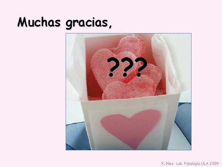 Muchas gracias, ? ? ? X. Páez Lab. Fisiología ULA 2009 
