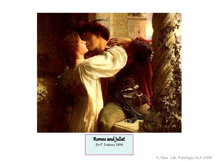 Romeo and Juliet Sir F. Dicksee 1884 X. Páez Lab. Fisiología ULA 2009 