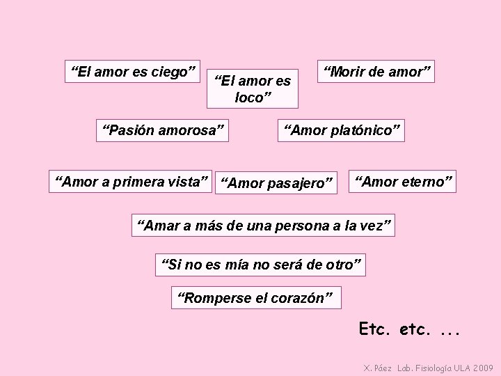 “El amor es ciego” “El amor es loco” “Pasión amorosa” “Morir de amor” “Amor