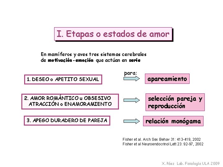 I. Etapas o estados de amor En mamíferos y aves tres sistemas cerebrales de