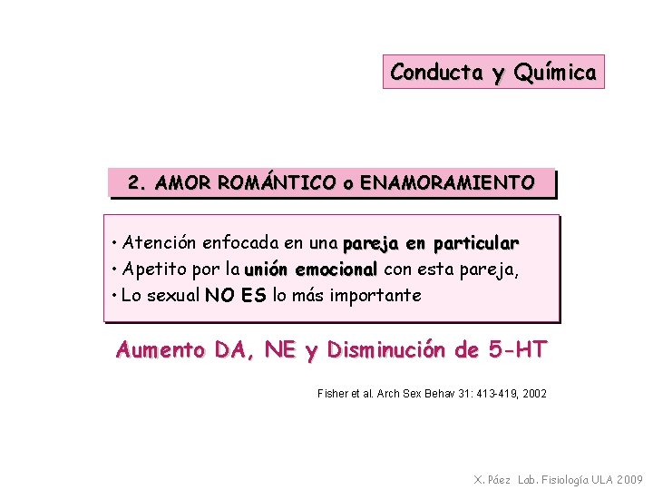 Conducta y Química 2. AMOR ROMÁNTICO o ENAMORAMIENTO • Atención enfocada en una pareja