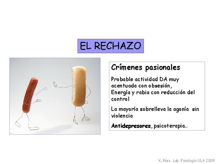 EL RECHAZO Crímenes pasionales Probable actividad DA muy acentuada con obsesión, Energía y rabia