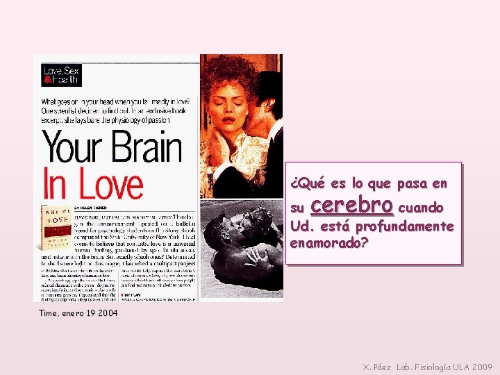 ¿Qué es lo que pasa en cerebro su cuando Ud. está profundamente enamorado? Time,