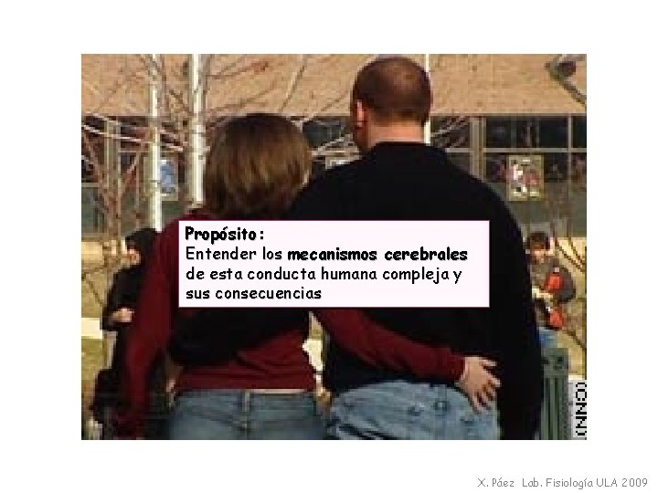 Propósito: Entender los mecanismos cerebrales de esta conducta humana compleja y sus consecuencias X.