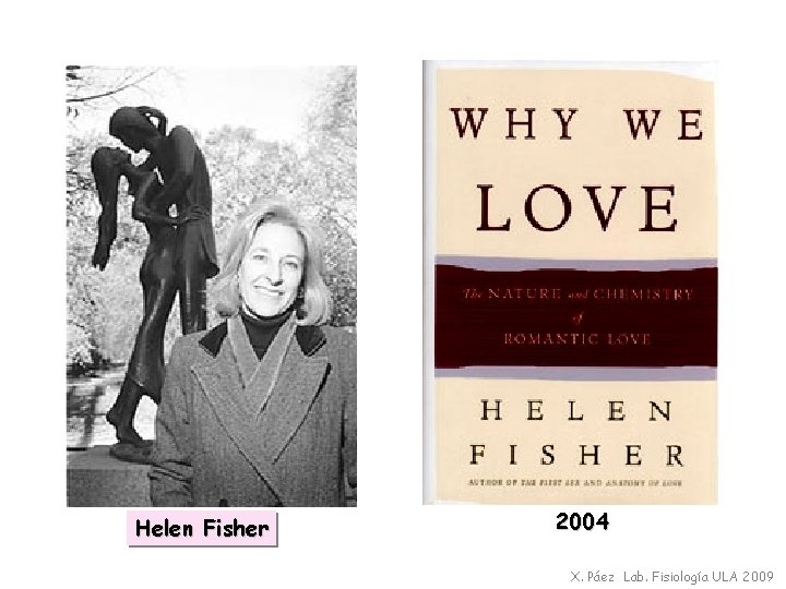 Helen Fisher 2004 X. Páez Lab. Fisiología ULA 2009 