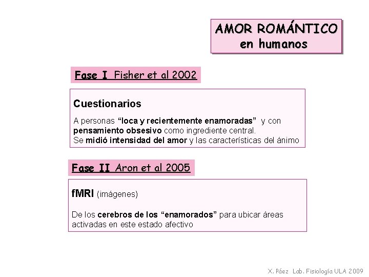 AMOR ROMÁNTICO en humanos Fase I Fisher et al 2002 Cuestionarios A personas “loca