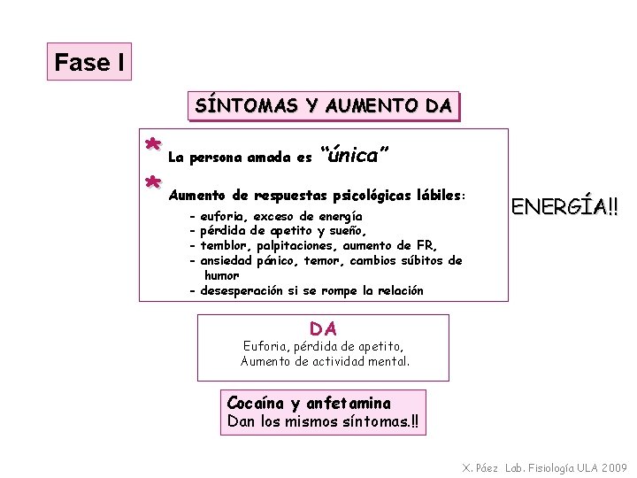 Fase I SÍNTOMAS Y AUMENTO DA * La persona amada es “única” * Aumento