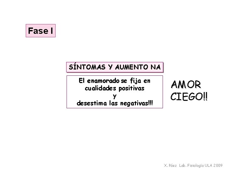 Fase I SÍNTOMAS Y AUMENTO NA El enamorado se fija en cualidades positivas y