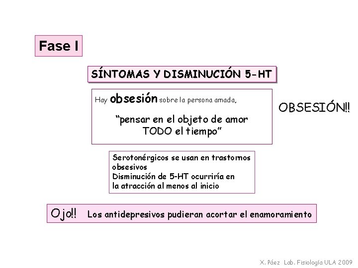 Fase I SÍNTOMAS Y DISMINUCIÓN 5 -HT Hay obsesión sobre la persona amada, “pensar