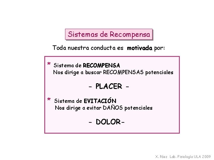 Sistemas de Recompensa Toda nuestra conducta es motivada por: * Sistema de RECOMPENSA Nos