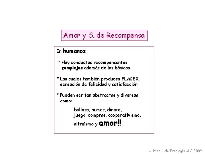 Amor y S. de Recompensa En humanos, * Hay conductas recompensantes complejas además de