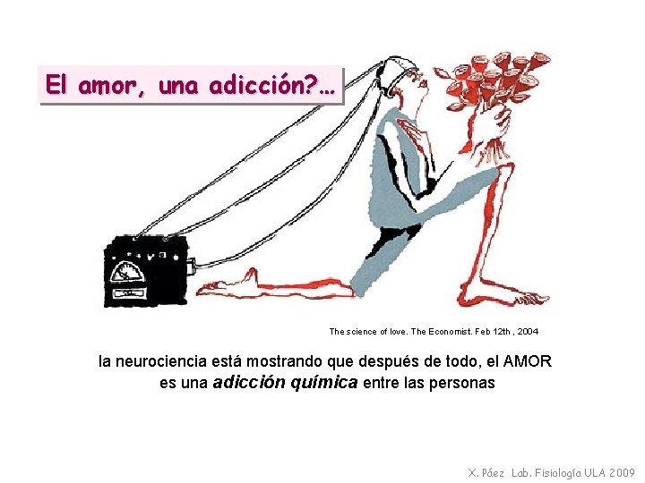 El amor, una adicción? … The science of love. The Economist. Feb 12 th