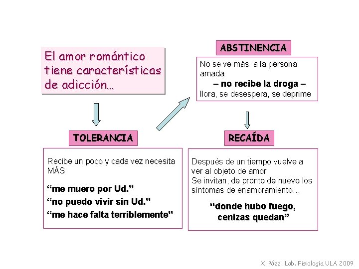 ABSTINENCIA El amor romántico tiene características de adicción… No se ve más a la
