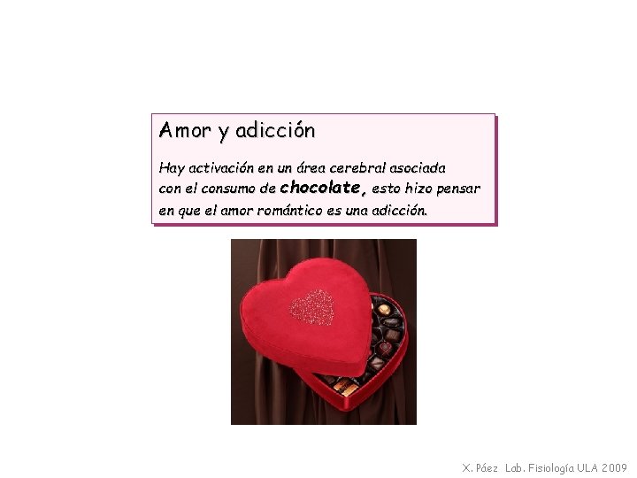 Amor y adicción Hay activación en un área cerebral asociada con el consumo de