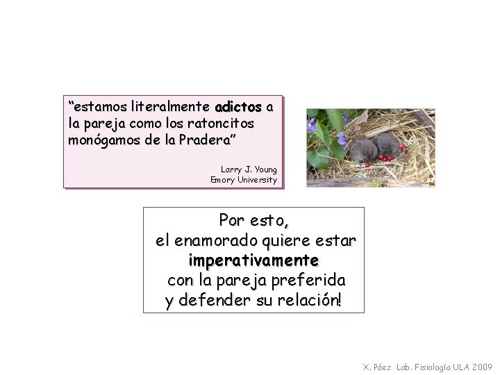 “estamos literalmente adictos a la pareja como los ratoncitos monógamos de la Pradera” Larry