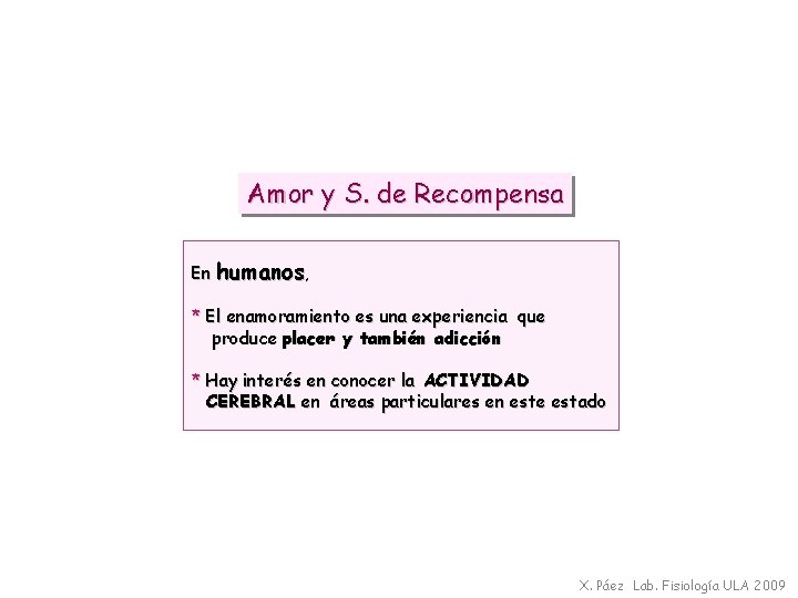 Amor y S. de Recompensa En humanos, * El enamoramiento es una experiencia que