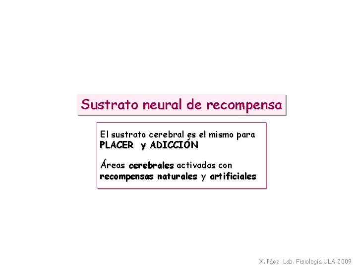 Sustrato neural de recompensa El sustrato cerebral es el mismo para PLACER y ADICCIÓN