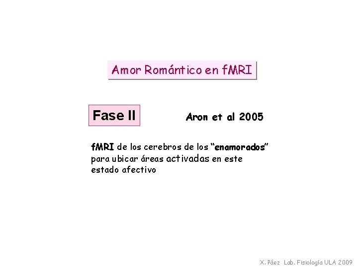 Amor Romántico en f. MRI Fase II Aron et al 2005 f. MRI de