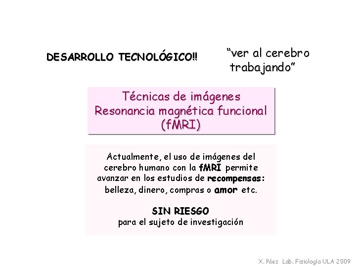 DESARROLLO TECNOLÓGICO!! “ver al cerebro trabajando” Técnicas de imágenes Resonancia magnética funcional (f. MRI)