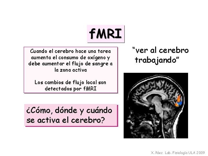 f. MRI Cuando el cerebro hace una tarea aumenta el consumo de oxígeno y