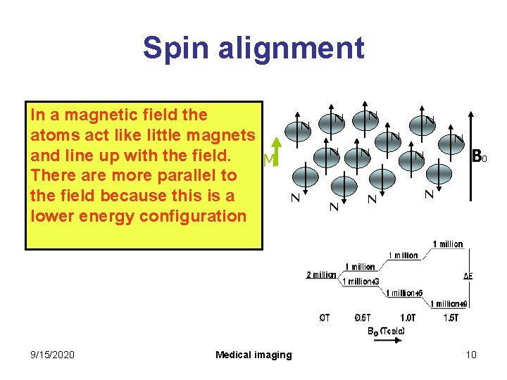 Spin alignment In a magnetic field the atoms act like little magnets and line Spin alignment In a magnetic field the atoms act like little magnets and line