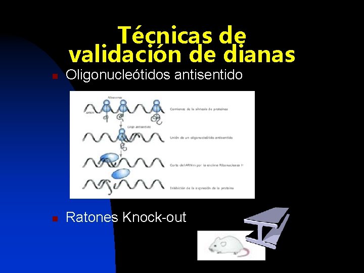 Técnicas de validación de dianas n Oligonucleótidos antisentido n Ratones Knock-out 