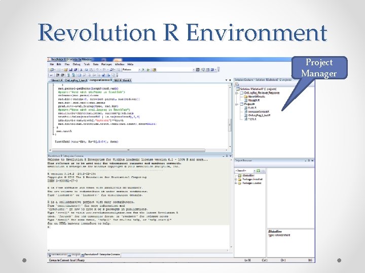 Revolution R Environment Project Manager 