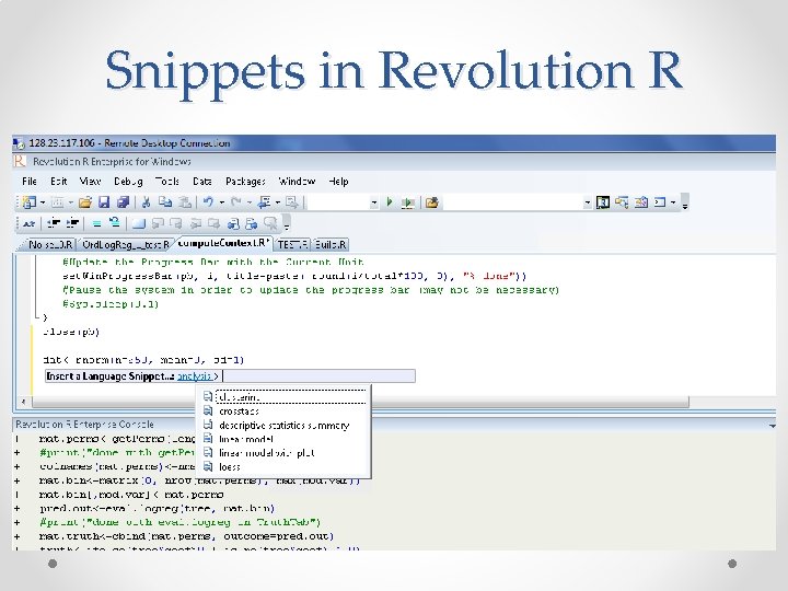 Snippets in Revolution R 