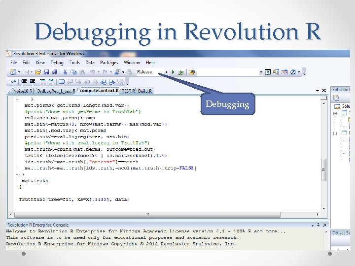 Debugging in Revolution R Debugging 